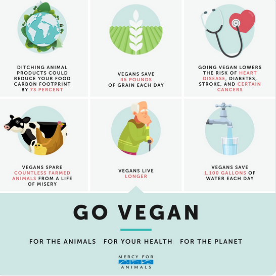 Planet Vegan Day: What Occurs To Your Body When You Go Vegan?