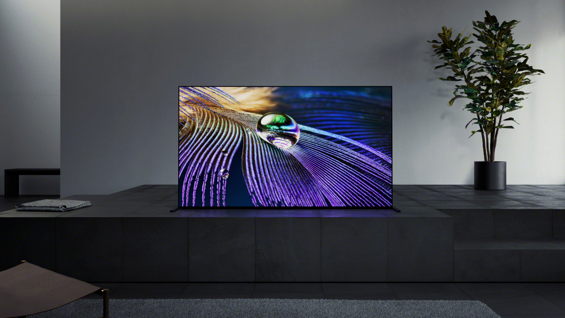 Sony Television 2022: Each Master Series And Bravia Oled Announced So Far